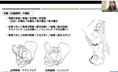 姿勢・動作の見方