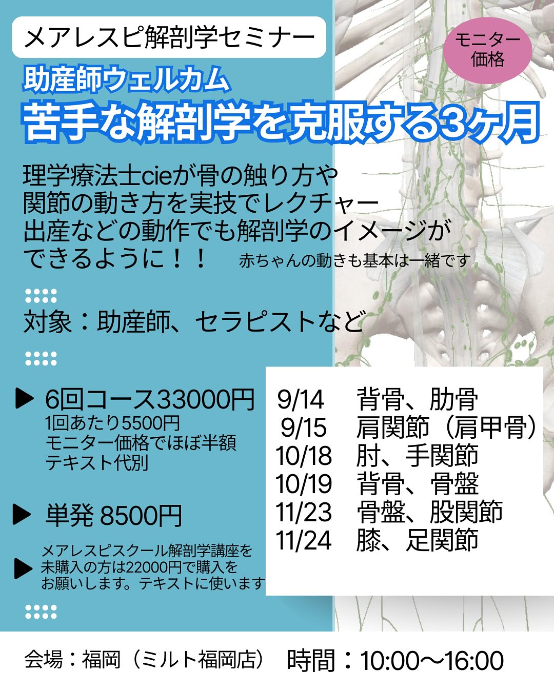 【メアレスピ解剖学セミナー】苦手な解剖学を克服する3ヶ月